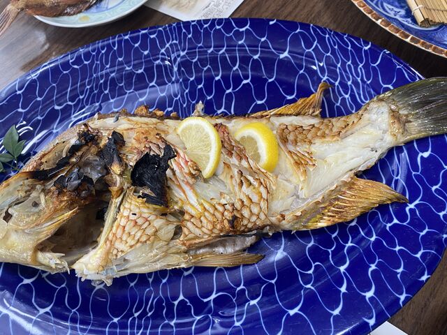 �Ă���_���t���h�@��c