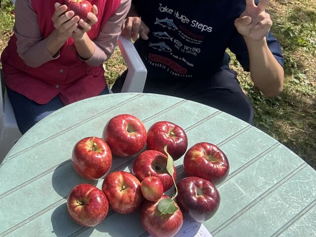 ��񂲂�������I_�ۑP�_��