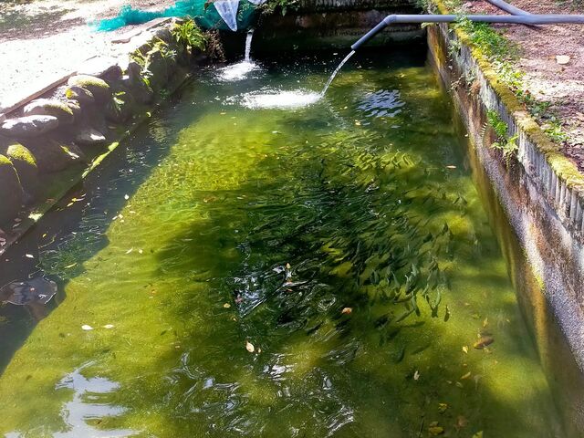 ڂ̐EꏬȒނxZ^[̓eʐ^1