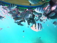 ^ieB̖` ꑍAEghAcA[Xւ̓eʐ^1