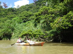 Shoko88̃GRcA[vJvJւ̓eʐ^2