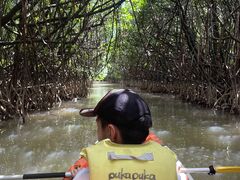 Shoko88̃GRcA[vJvJւ̓eʐ^3