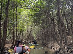 Shoko88̃GRcA[vJvJւ̓eʐ^4