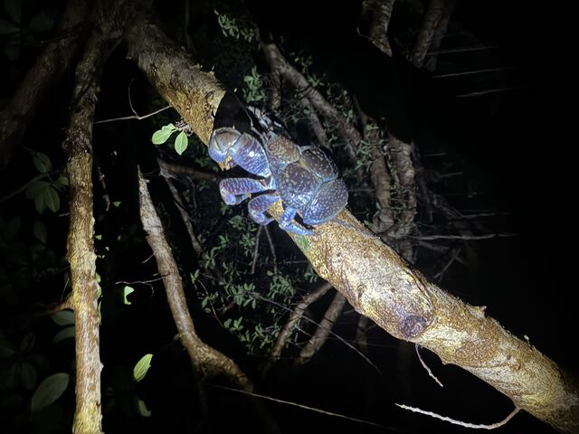 �Y��ȃ��V�K�j�I_Nami�{�Ó�