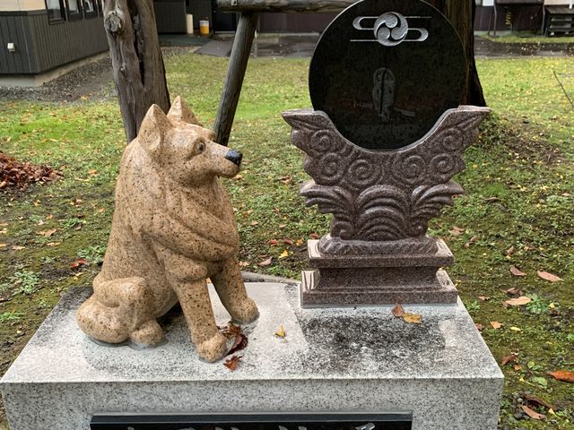 stripped-rabbit̏LJIO̓eʐ^3