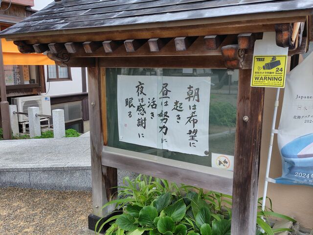 �ǂ����t���Ǝv���āA�v�킸�ʐ^���B��܂����B_�����啧