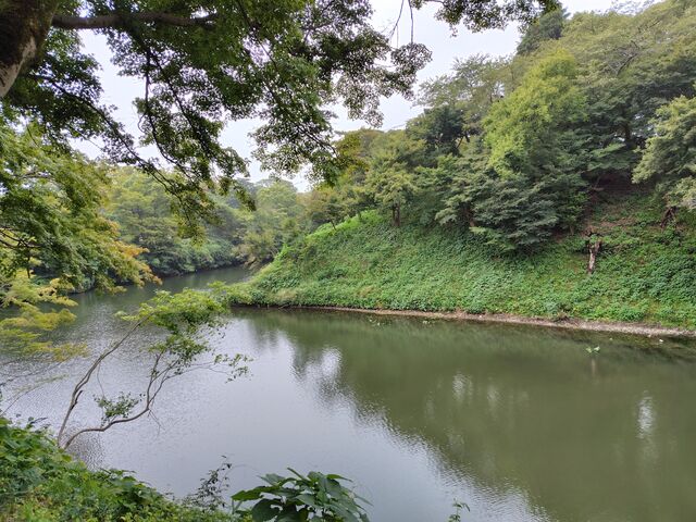 ������Ղ̂��x�B��Ղ炵���i�F�ł��B_�����Ï�����i��Ձj