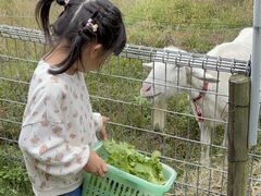 qTR̂܂_ -|j[MjgƂӂꂠR̂܂̃XC[cX-ւ̓eʐ^3