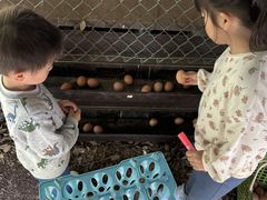 qTR̂܂_ -|j[MjgƂӂꂠR̂܂̃XC[cX-ւ̓eʐ^4