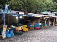 񂳂̂sJg[ʂւ̓eʐ^1