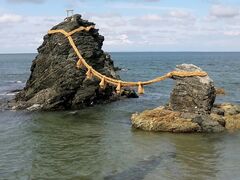 ��������̕v�w��ւ̓��e�ʐ^1