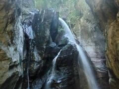 ゆみさんの仁淀川町の観光を考える会への投稿写真1