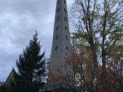 stripped-rabbit̏LJIO̓eʐ^1