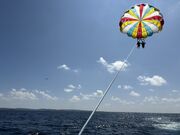 �䂩�҂�􂳂��HB marine okinawa�̓��e�ʐ^1