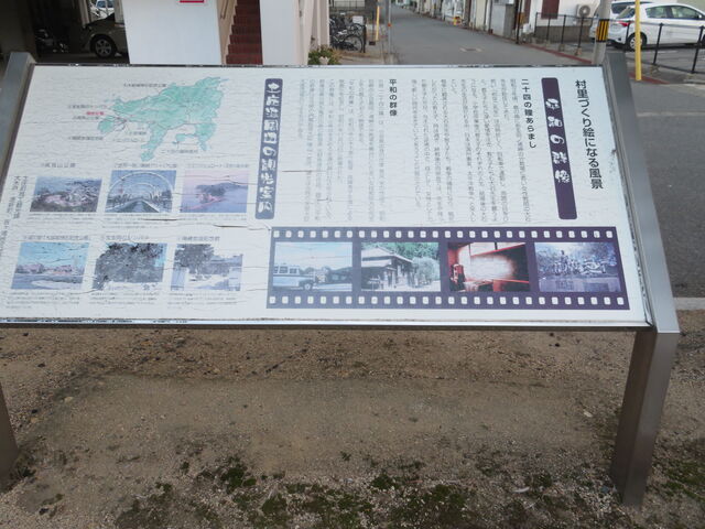 ���a�̌Q���@�����Ŕ�_���a�̌Q��