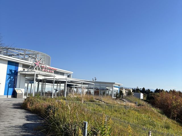 �x�e��_�x�͘p���ÃT�[�r�X�G���A�i������j