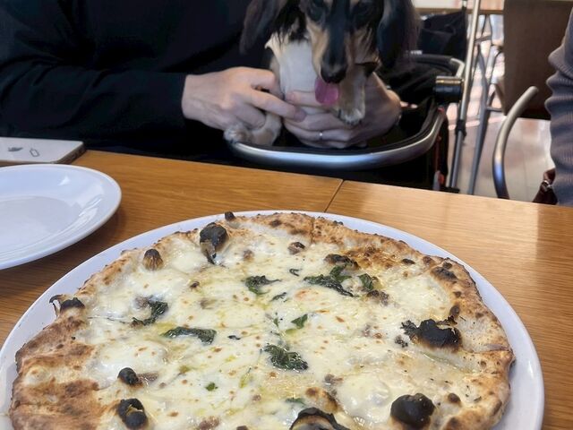 �s�U���n�̐H���O�b�h_���E�e���b�c�@���m��