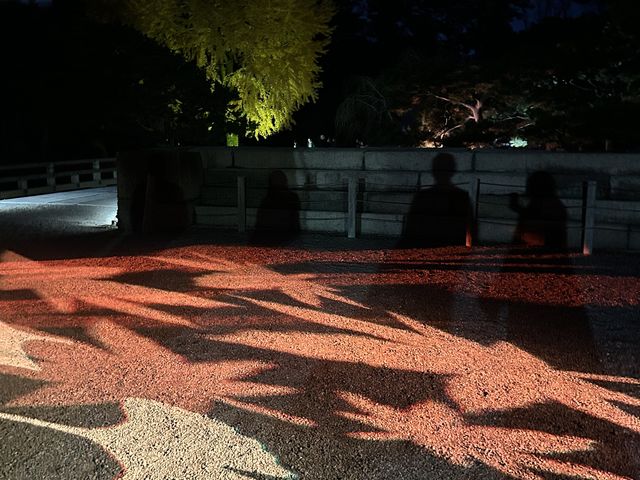 �g�t�ƃC�`���E�̃��C�g�ł��B���̐�ɗ��h�ȃC�`���E�̖؂�����܂����B_NAKED meets ����� �ό�