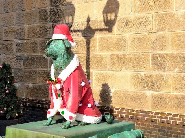 ���h���Ԃ��_���M�^��