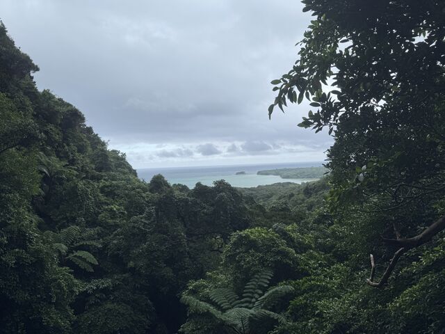 �_��I�ȕ��i_���\���c�A�[NGAF