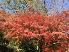 ���ЂƂ肳�񂳂�̖��t�����@�ւ̓��e�ʐ^1