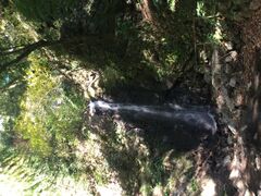 ���ЂƂ肳�񂳂�̕s����ւ̓��e�ʐ^1