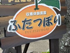 񂿂񂳂̎ň_@ӂڂւ̓eʐ^1