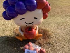 JRt[cp[N䂠͂܂̎ʐ^1