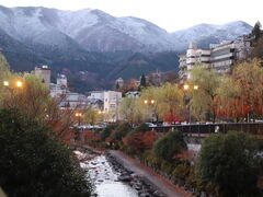 �V���R����񂳂�̉��C����X�ւ̓��e�ʐ^1