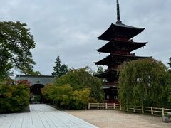 �ŏ��@�̎ʐ^1