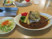 �L������̓������̗� ���n�C�J���H���̓��e�ʐ^1