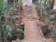 ������������̒����Ձi�����Ձj�̓��e�ʐ^3