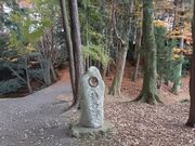 ������������̒����Ձi�����Ձj�̓��e�ʐ^4