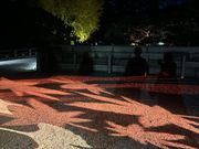 �ȂȂ������NAKED meets ����� �ό��̓��e�ʐ^1