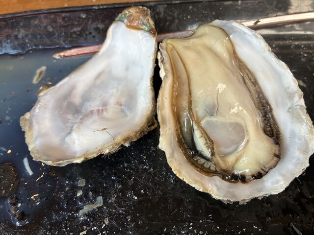 �Ղ���Ղ�̑嗱���y�B_�����Ă��@���݂₰��