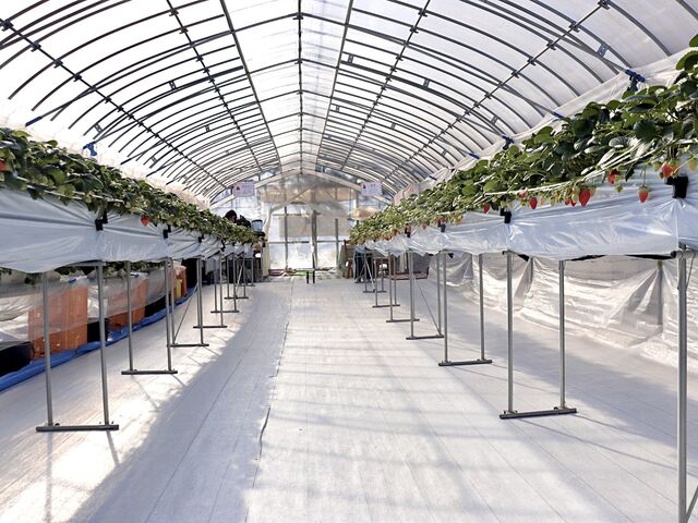 �n�E�X���́A�X���b�p�ɗ����ւ��ē���̂łƂ��Ă����ꂢ�ł��I_�T���x���[�_��