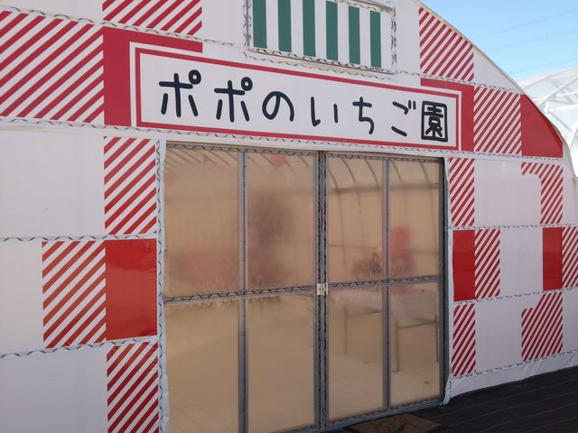 ��t_�|�|�̂�������