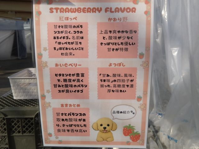 �H�ׂ��邢����_�|�|�̂�������