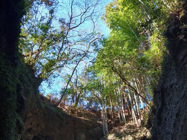 �܂��Ƀp���[�X�|�b�g�I_���|�ό����Z���^�[