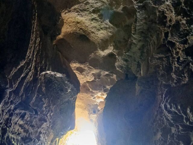 nonkokb����̈��|�ό����Z���^�[�̓��e�ʐ^2