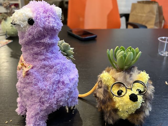 �A���p�J����ƃn���l�Y�~����_���Ƃ͉̂��Y������