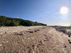 �Ί_�� ADVENTURE PiPi�̎ʐ^1