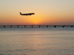 ������񂳂�̐������E�~�J�W�e���X�ւ̓��e�ʐ^1