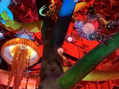 �����L�O�����̎ʐ^1