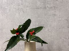 �肦�肦����̓��H�[�蓈�ւ̓��e�ʐ^1