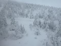 �܂����񂳂�̑������[�v�E�F�C�ւ̓��e�ʐ^1