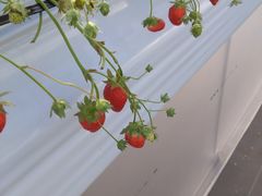 �|�|�̂��������̎ʐ^3