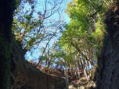 ���|�ό����Z���^�[�̎ʐ^1