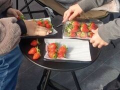 �A�X�g���x���[�̎ʐ^1