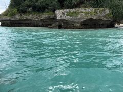 �I�[�V�����u���b�W����̎ʐ^1